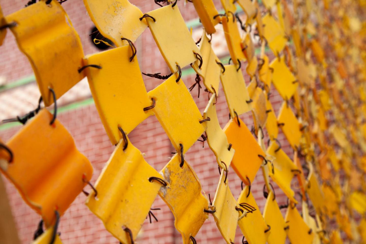 Yellow squares chained together