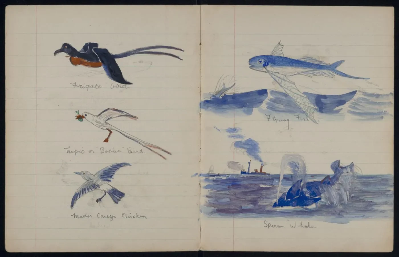 Sketches and autobiographical notes by L. Jeffery, 1931–32: filename S9632-004