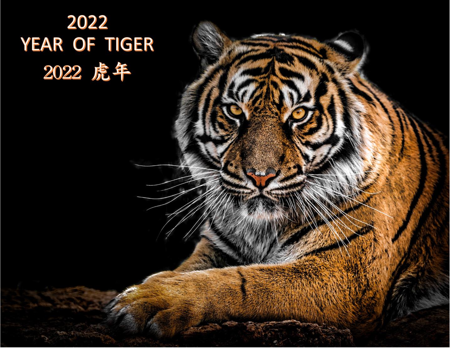 a lion looking straight at the camera with the words 2022 year of Tiger