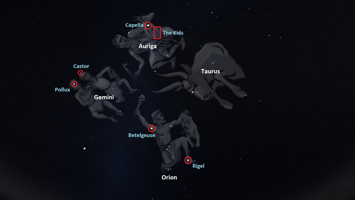 Some of the winter constellations