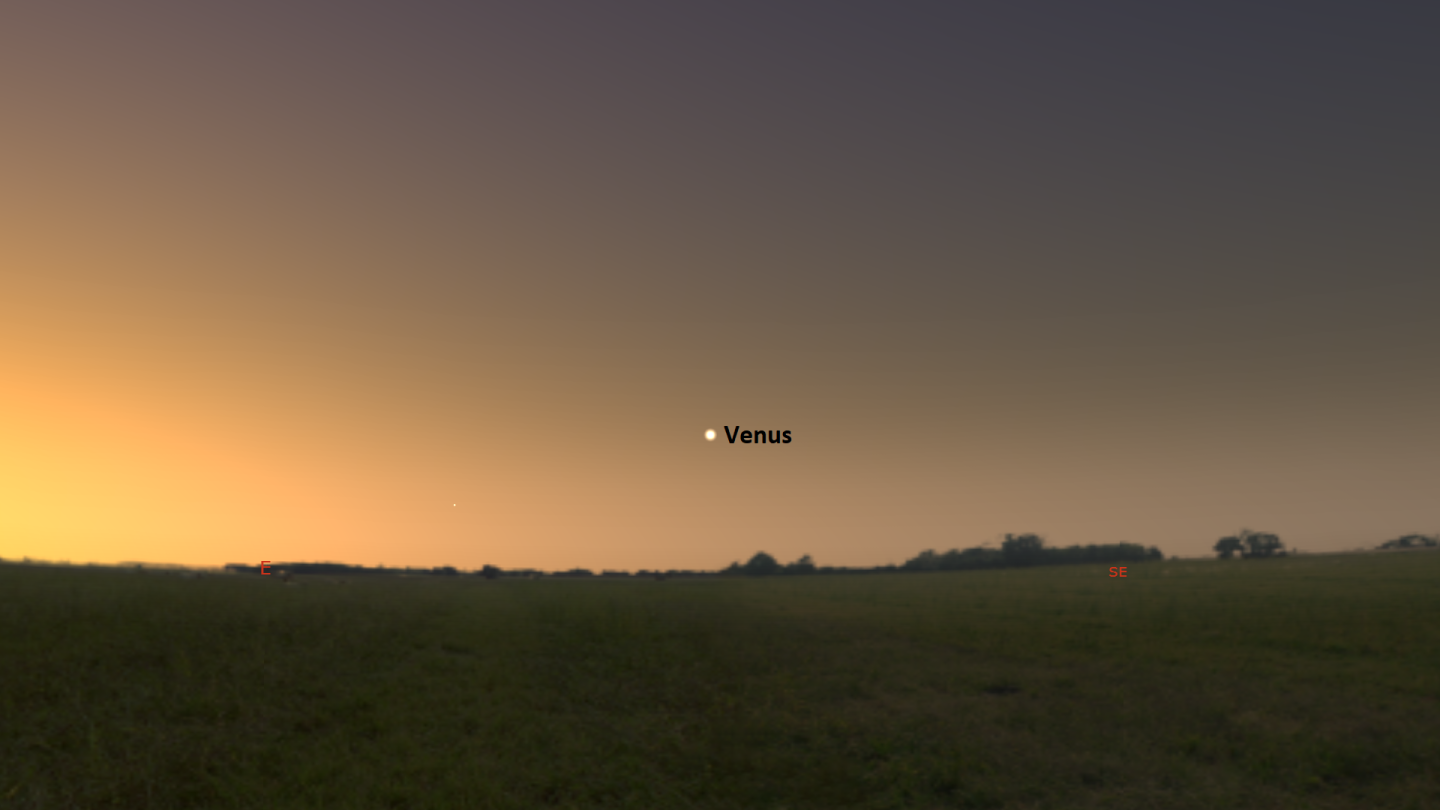 Venus in the morning sky