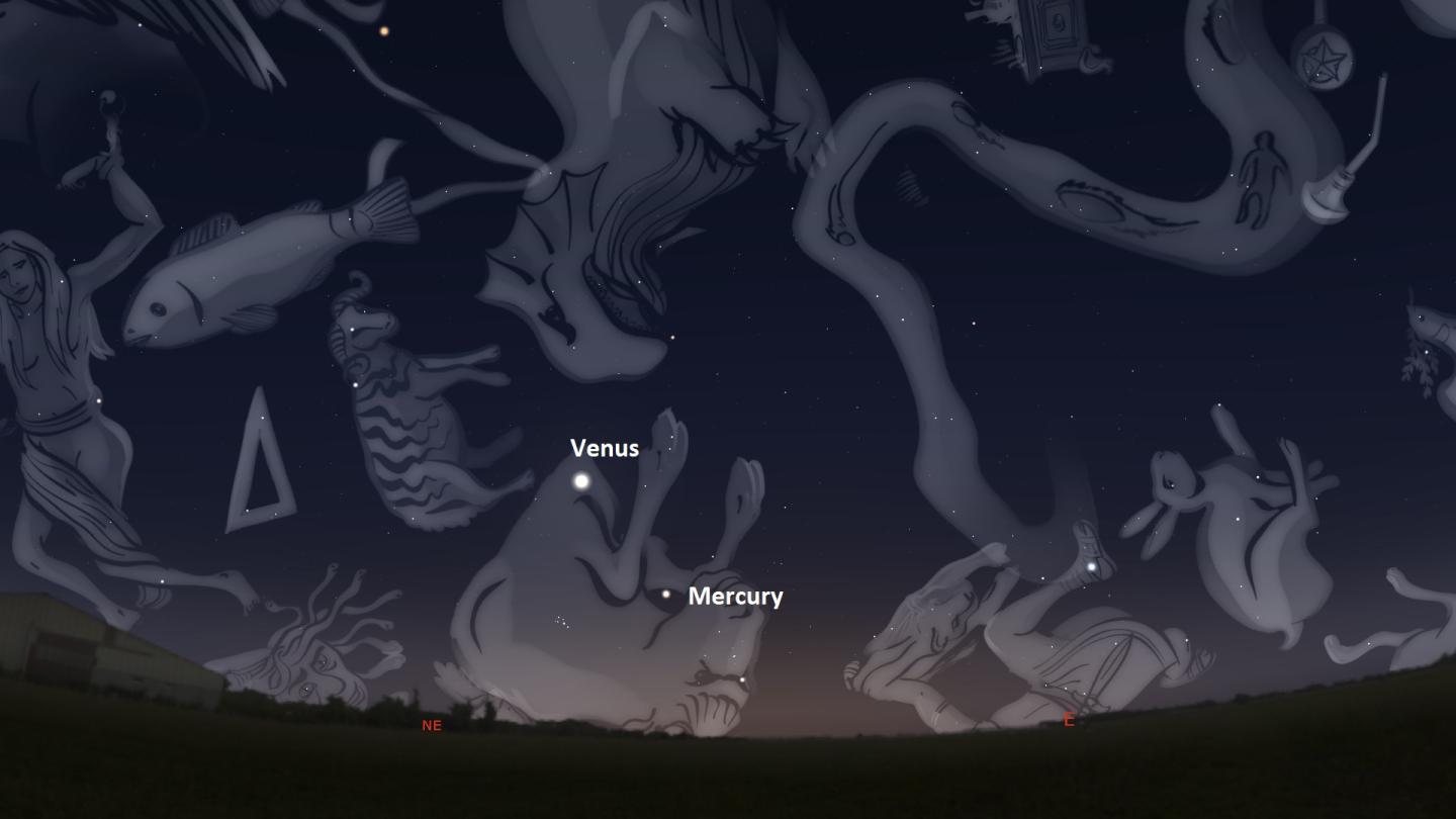 A rendering of the night sky in the southern hemisphere showing the constellations and Venus and Mercury