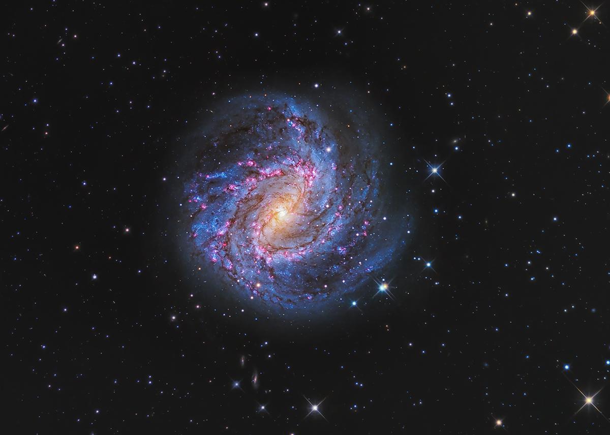 Image of blue and purple Hydra's Pinwheel galaxy 