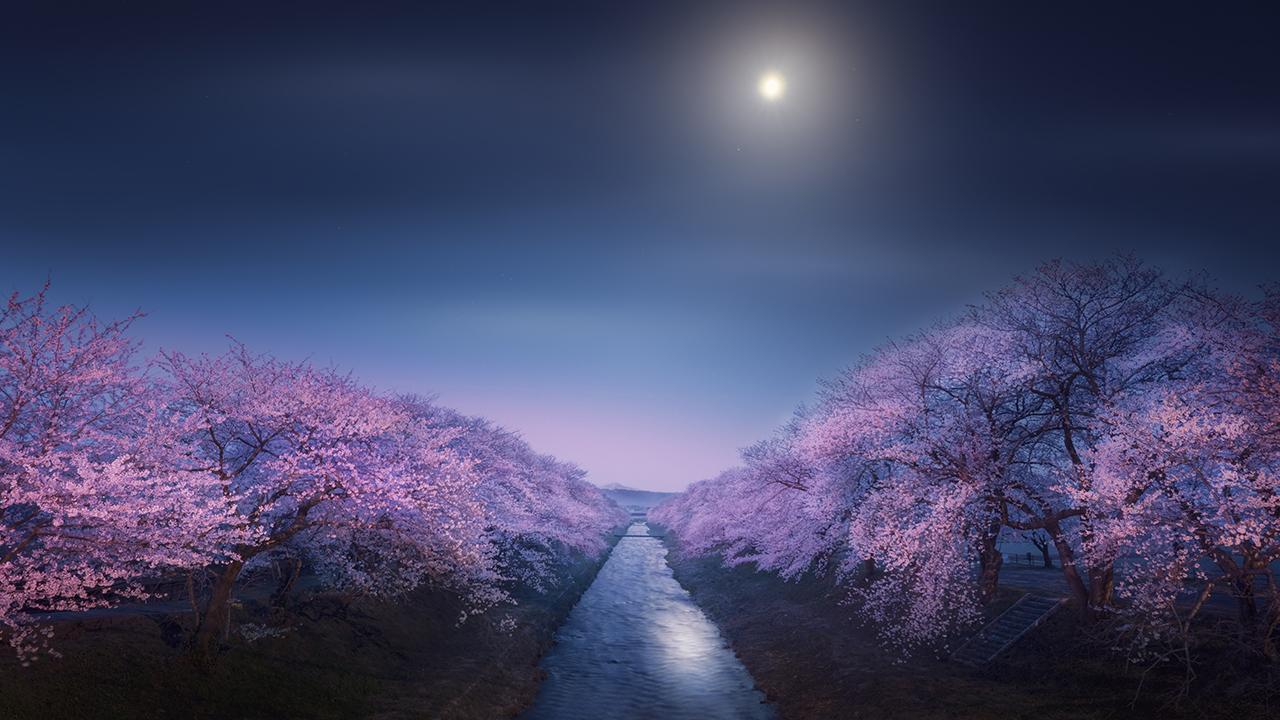 River of Funakawa surrounded by purple trees with Moon in background