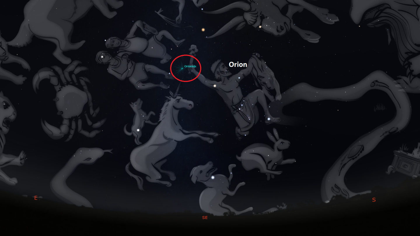 A rendering of the night sky showing the location of the radiant of the orionids meteor shower