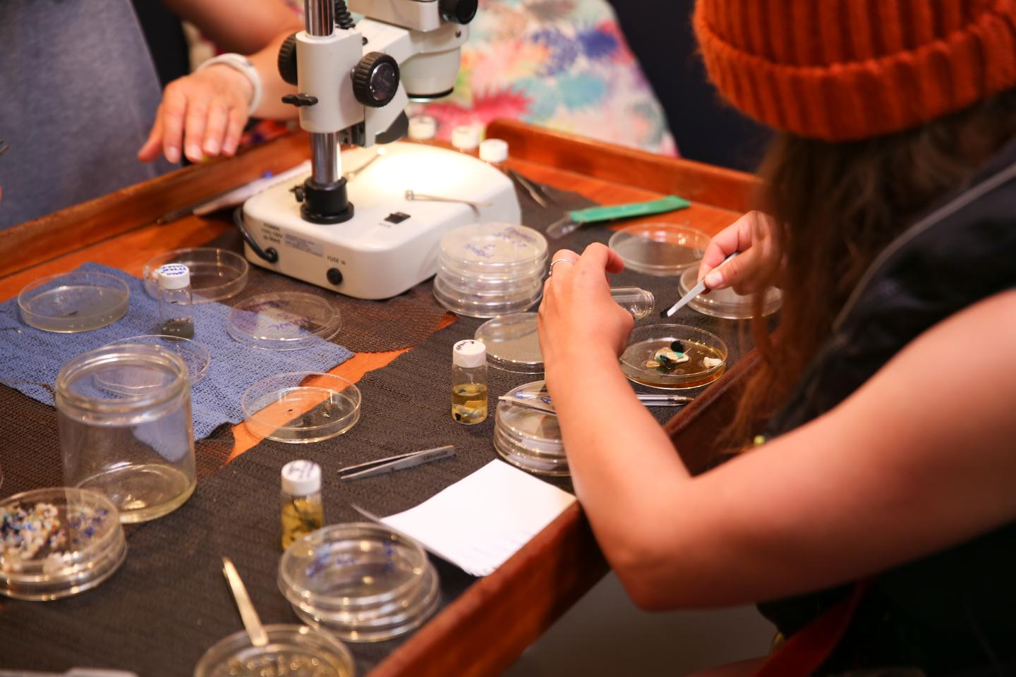 Group of people analyse microplastic samples in petri dishes with microscopes