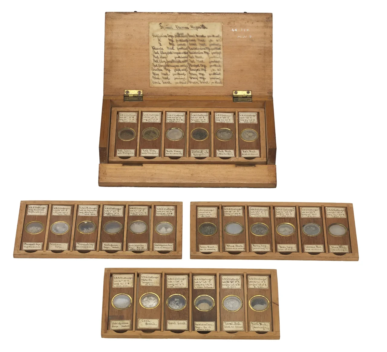 A woodend box containing samples of the sea bed taken during the Challenger expedition. The samples are protected within small round glass containers
