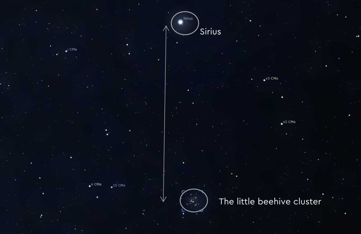 An image of Sirius and the little beehive cluster in the night sky 