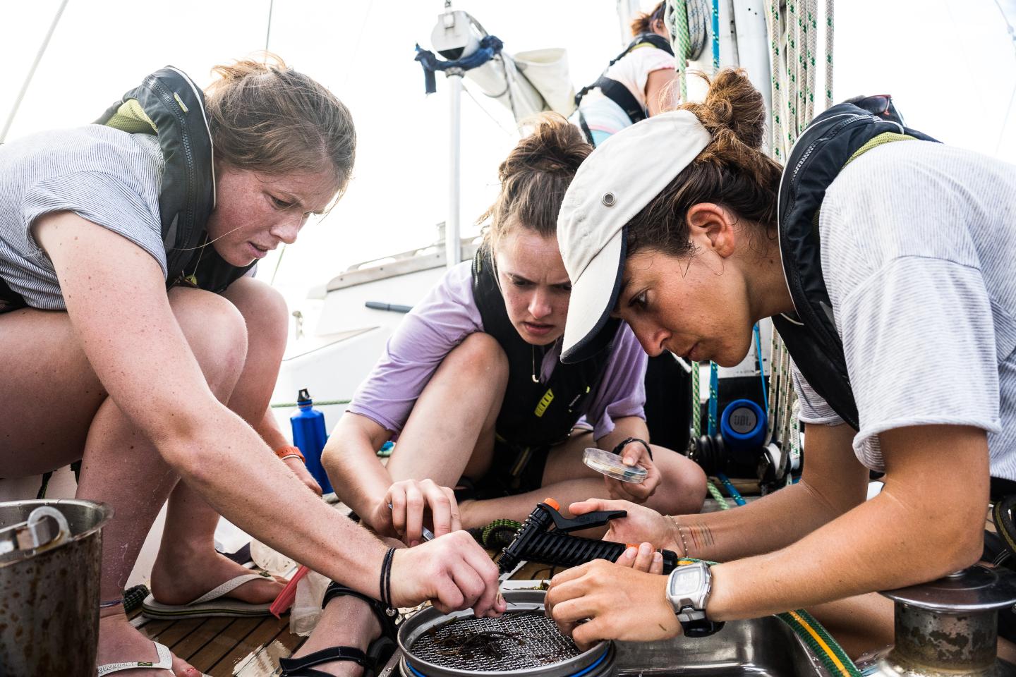 Group of women on deck of a ship study plastic samples