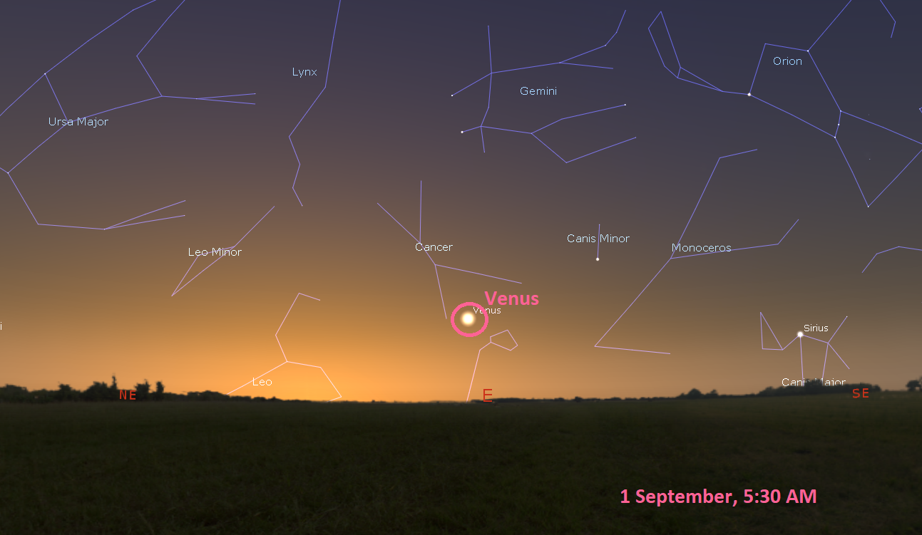 Position of Venus