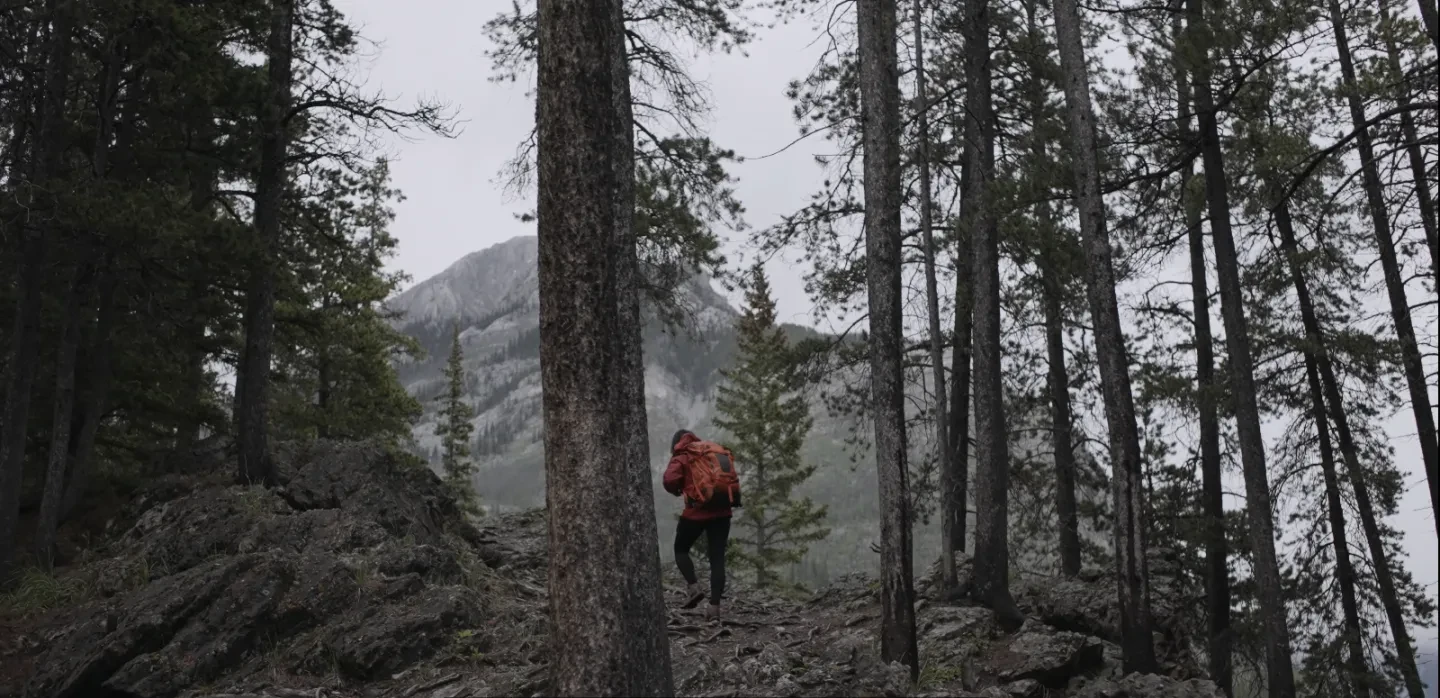 Image of person wearing a red coat walking through wooded area with mountains in the background