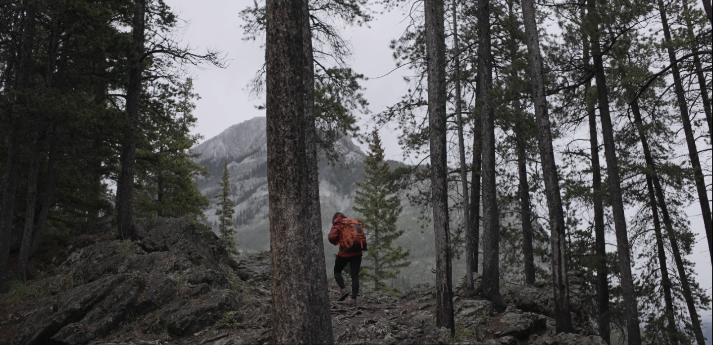 Image of person wearing a red coat walking through wooded area with mountains in the background