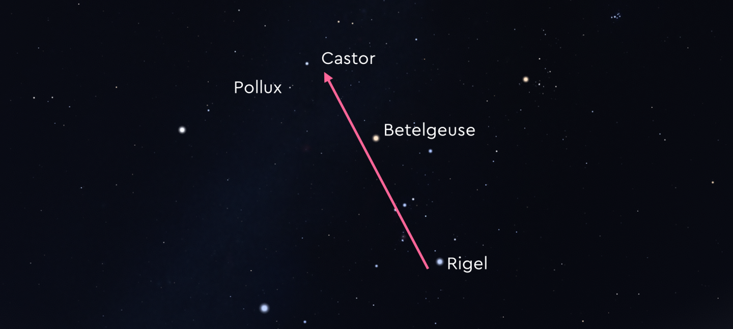 Diagram of the night sky, with the stars Betelgeuse and Rigel highlighted. An arrow points through from Rigel, to Betelgeuse and on to two stars labelled as Castor and Pollux. 