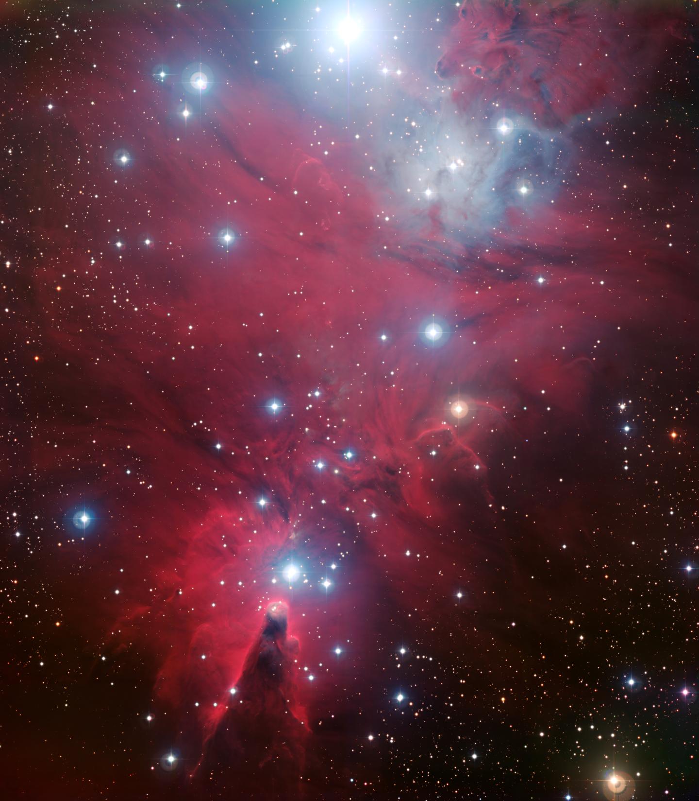 Image of NGC 2264. Clouds of dust throughout the nebula have a pink-red hue, and bright stars are scattered throughout the image. 
