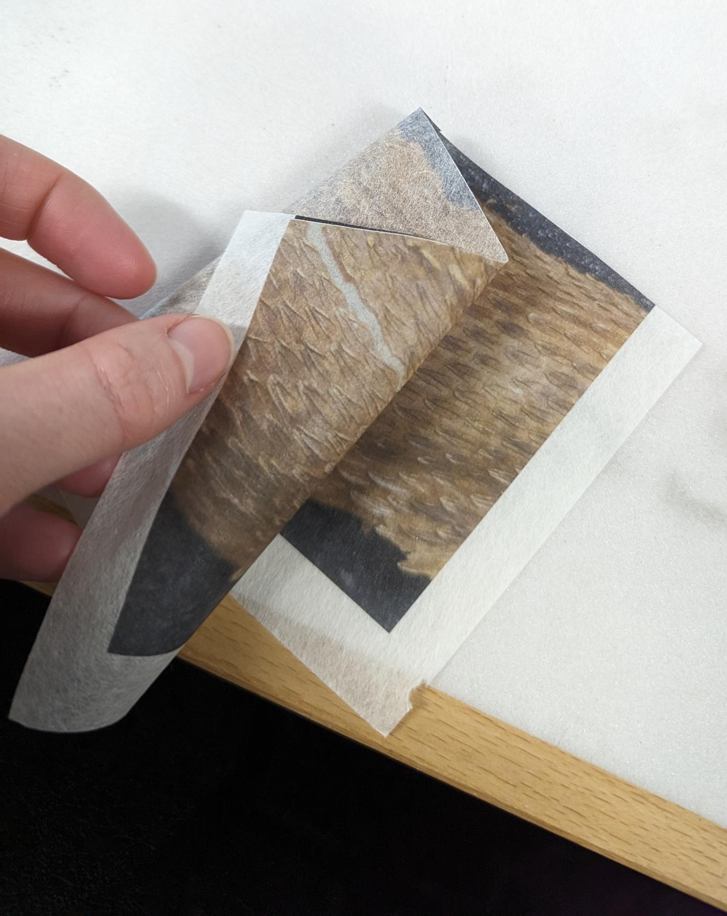 Backed Japanese tissue paper