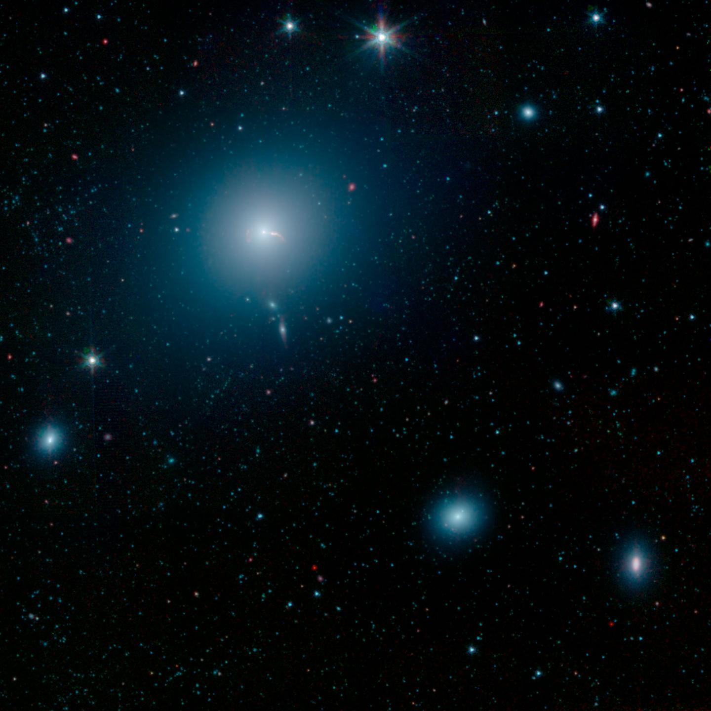 A photo of several stars and distant galaxies, with a large white fuzzy galaxy near the centre of the image