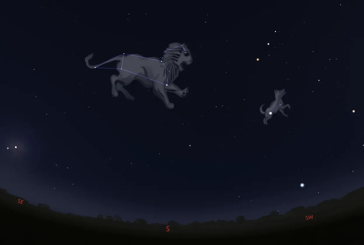  Leo and Canis Minor