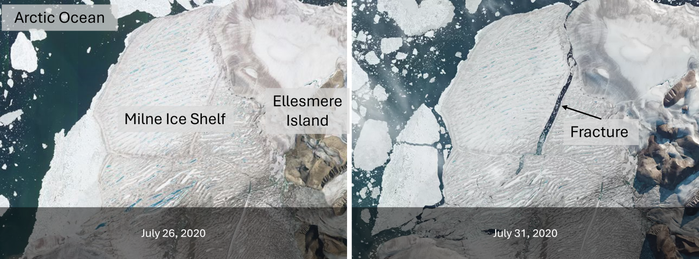Before and after satellite imagery showing the break-up of the Milne Ice Shelf in 2020