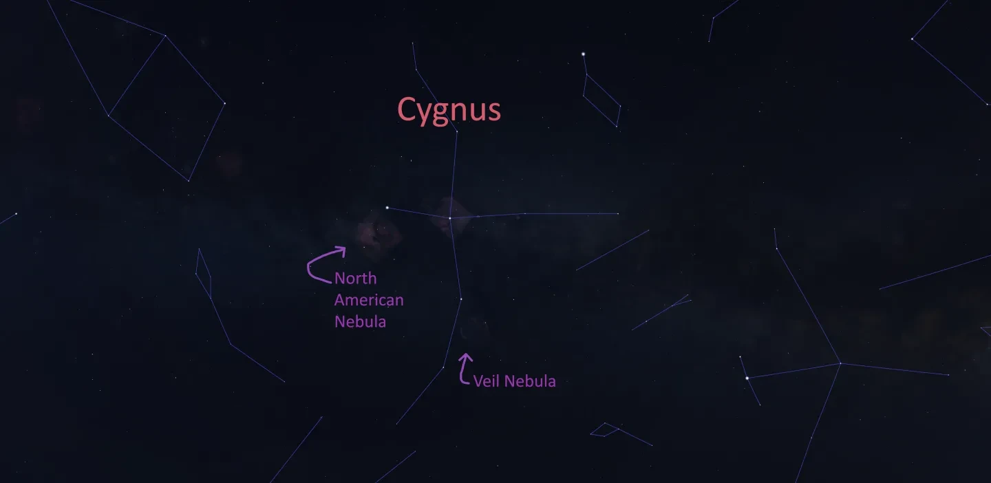 Stellarium screenshot showing Cygnus with the locations of the Veil and North American Nebulas 