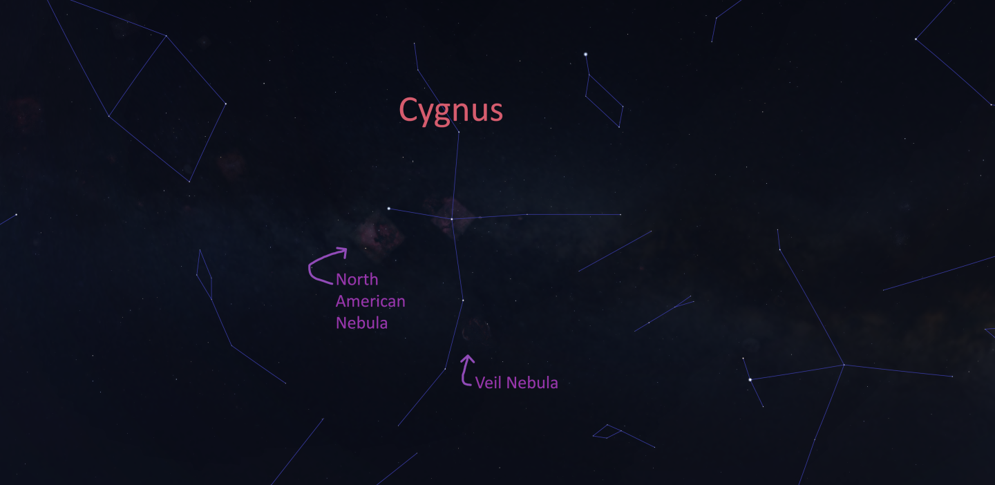 Stellarium screenshot showing Cygnus with the locations of the Veil and North American Nebulas 