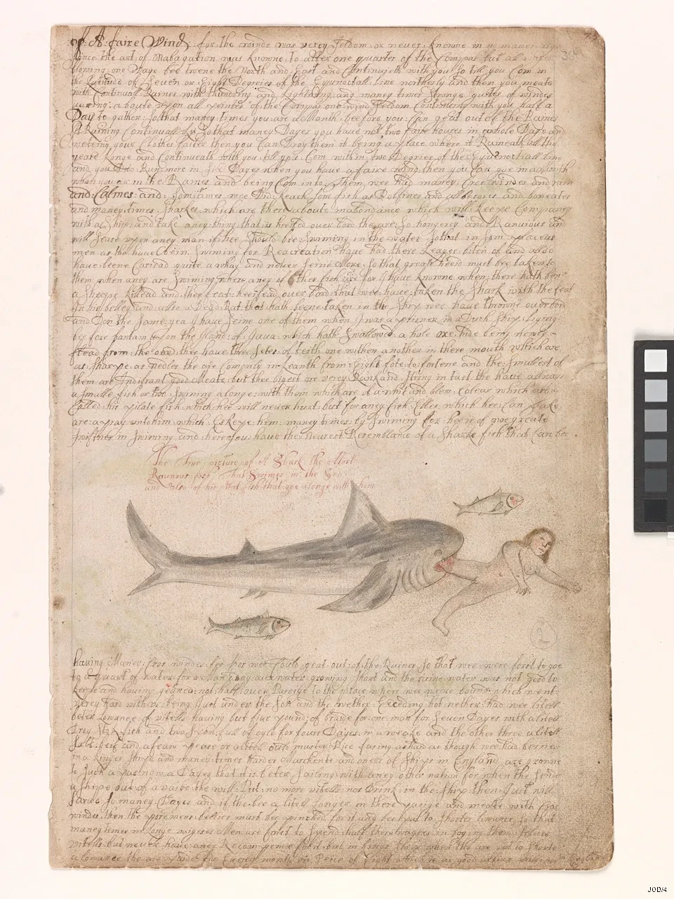 page from Barlow Journal 