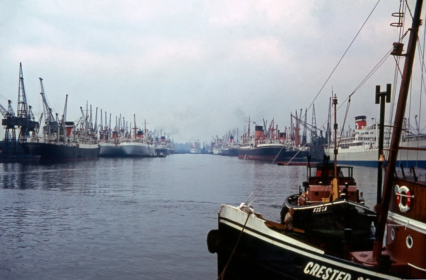 Historic photograph showing cargo ships and boats in the Royal Docks