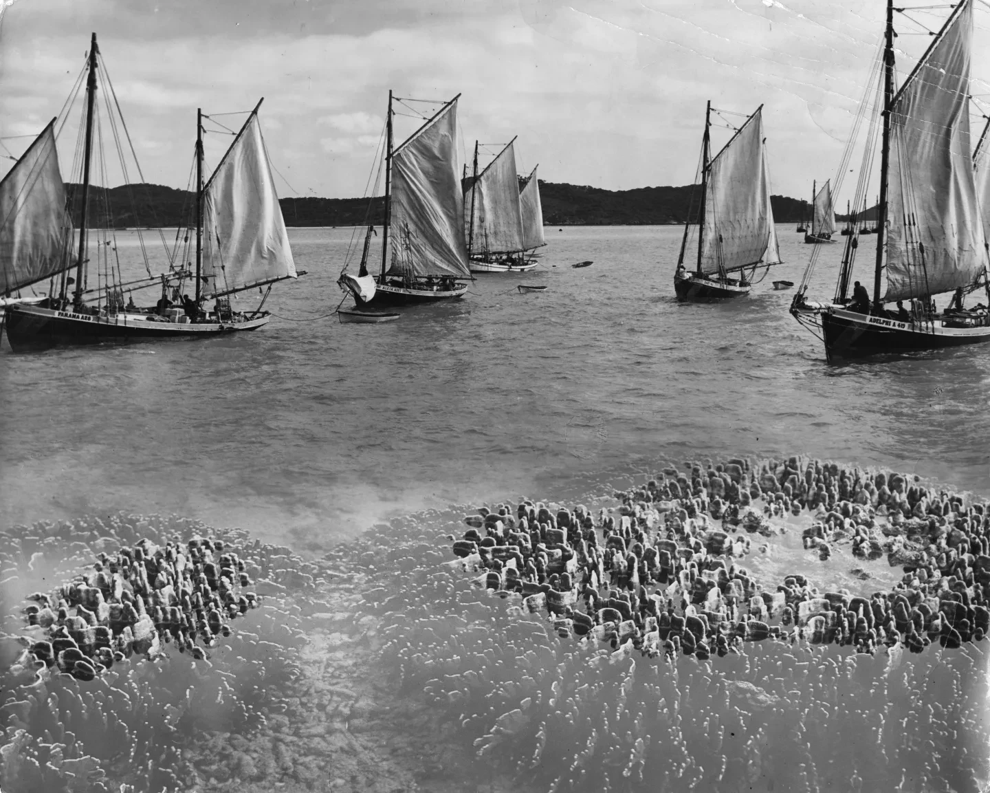 An image of pearling boats near Thursday Island