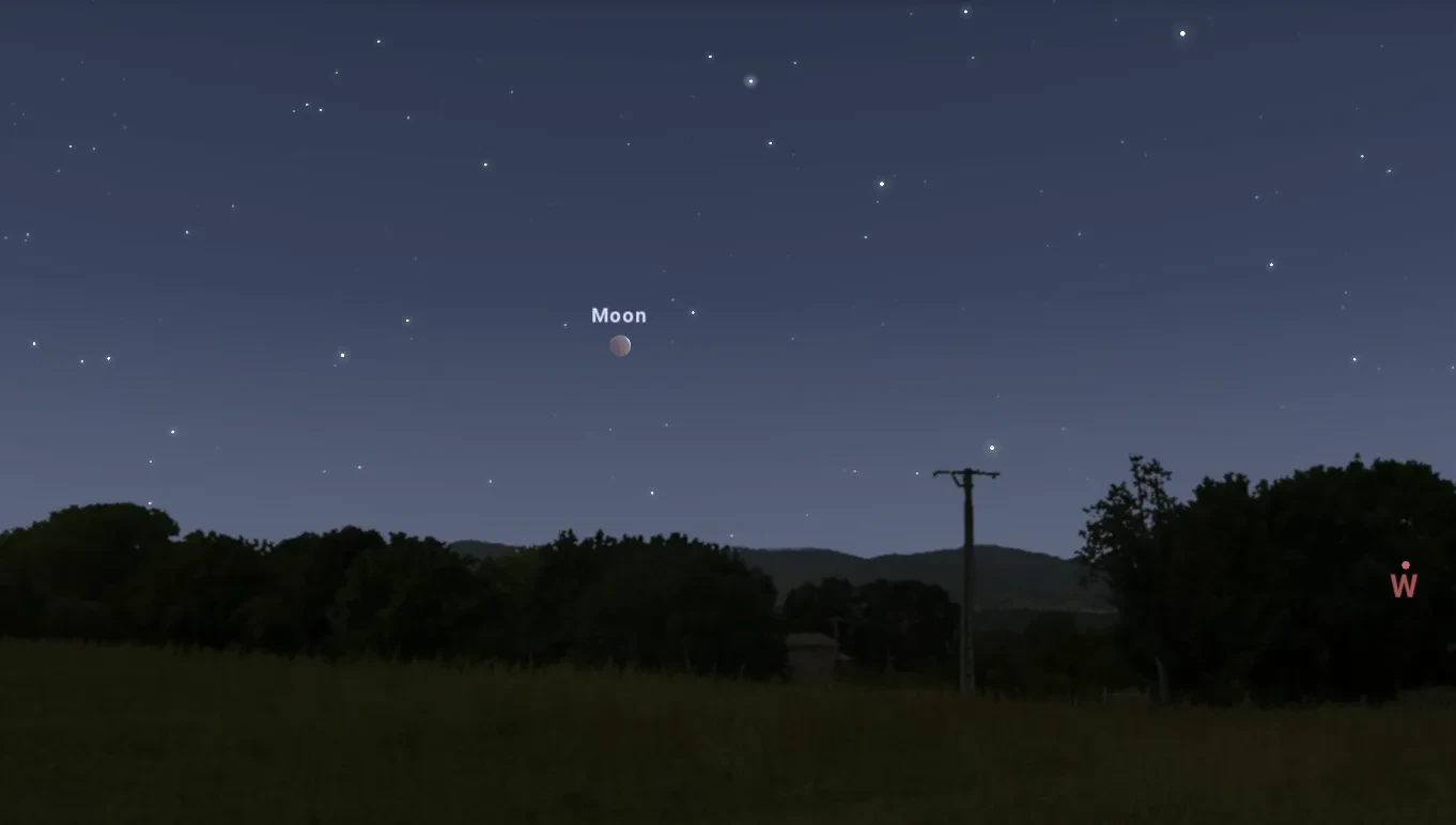 Animation of dark landscape with bushes on horizon and slightly above the horizon is the Moon