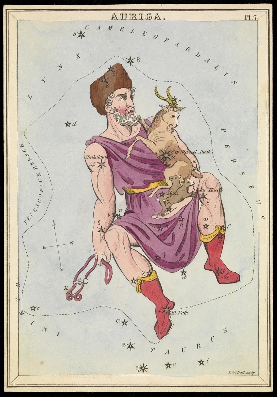 Drawing of the charioteer holding a goat, two kids and the reins of the chariot.