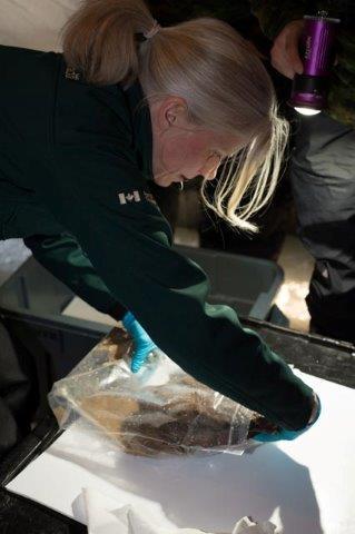 Conservator packs a Franklin artifact to prevent it from drying out