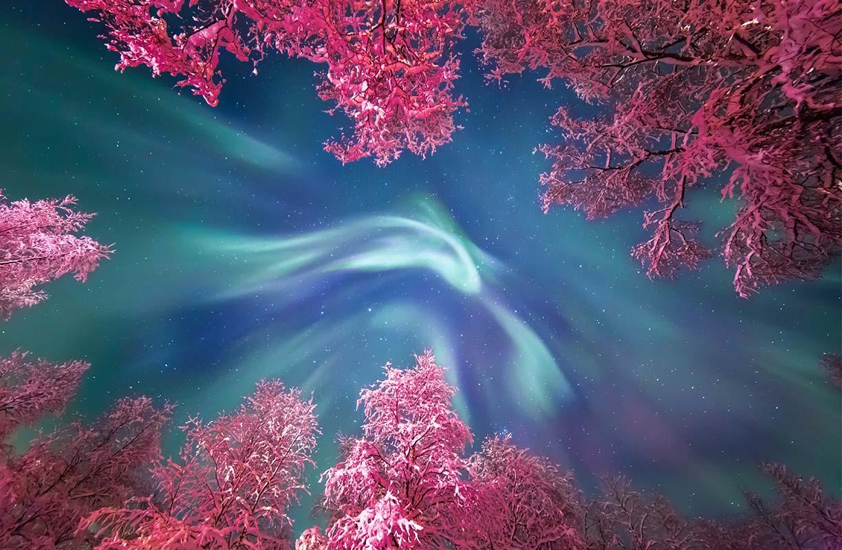 Auroral Crown © Yulia Zhulikova