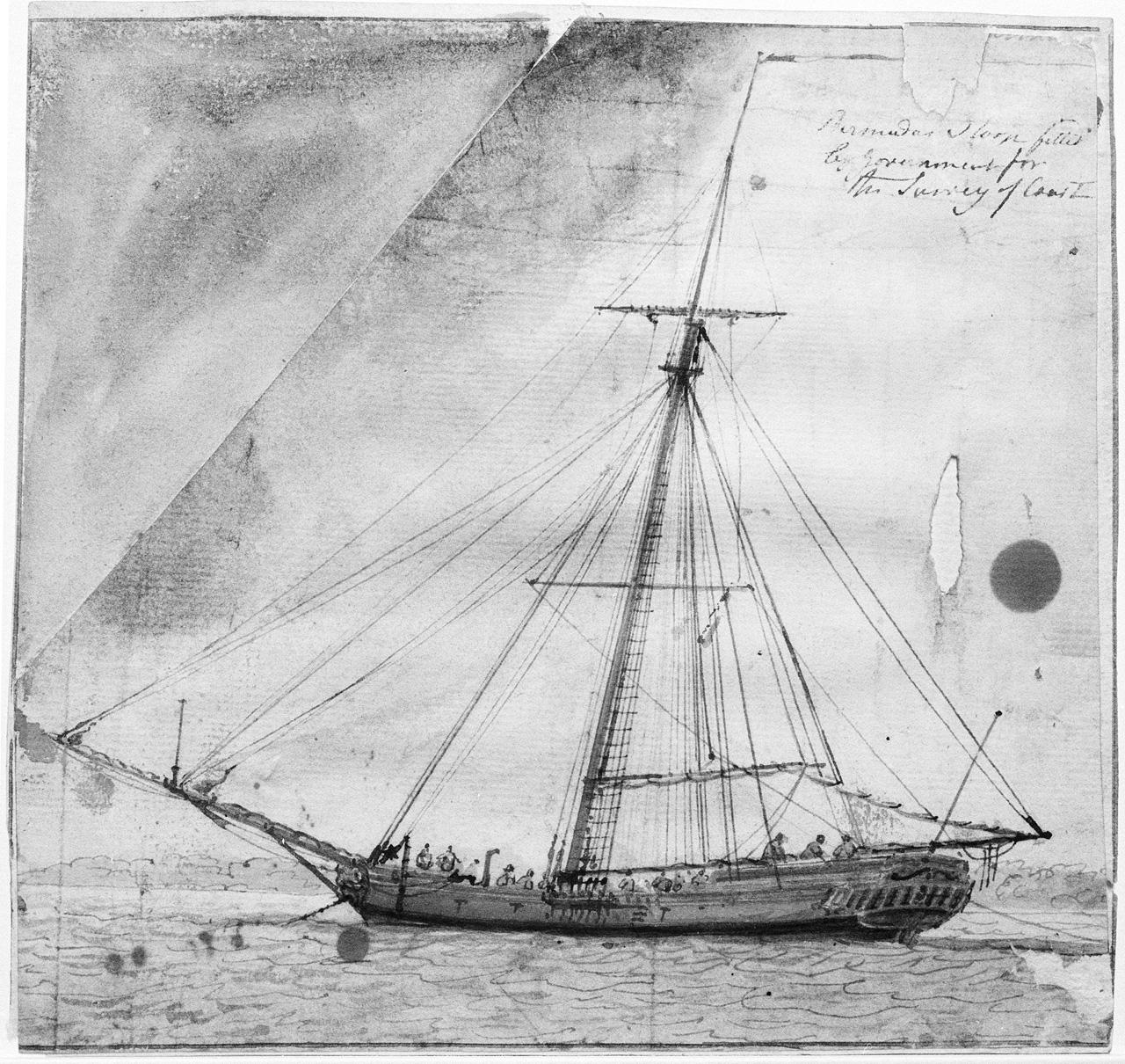 'Bermuda sloop fitted by Government for the survey of coast’