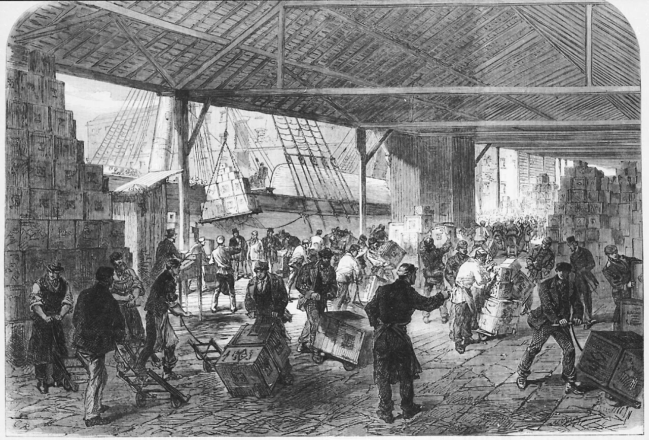 Black and white drawing of people unloading tea ships in the East India docks.