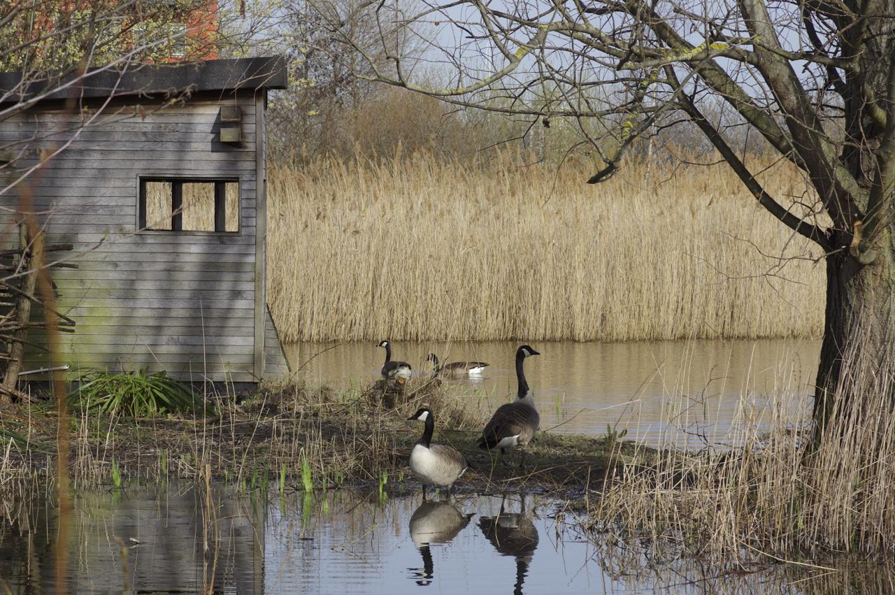 places to visit near greenwich park