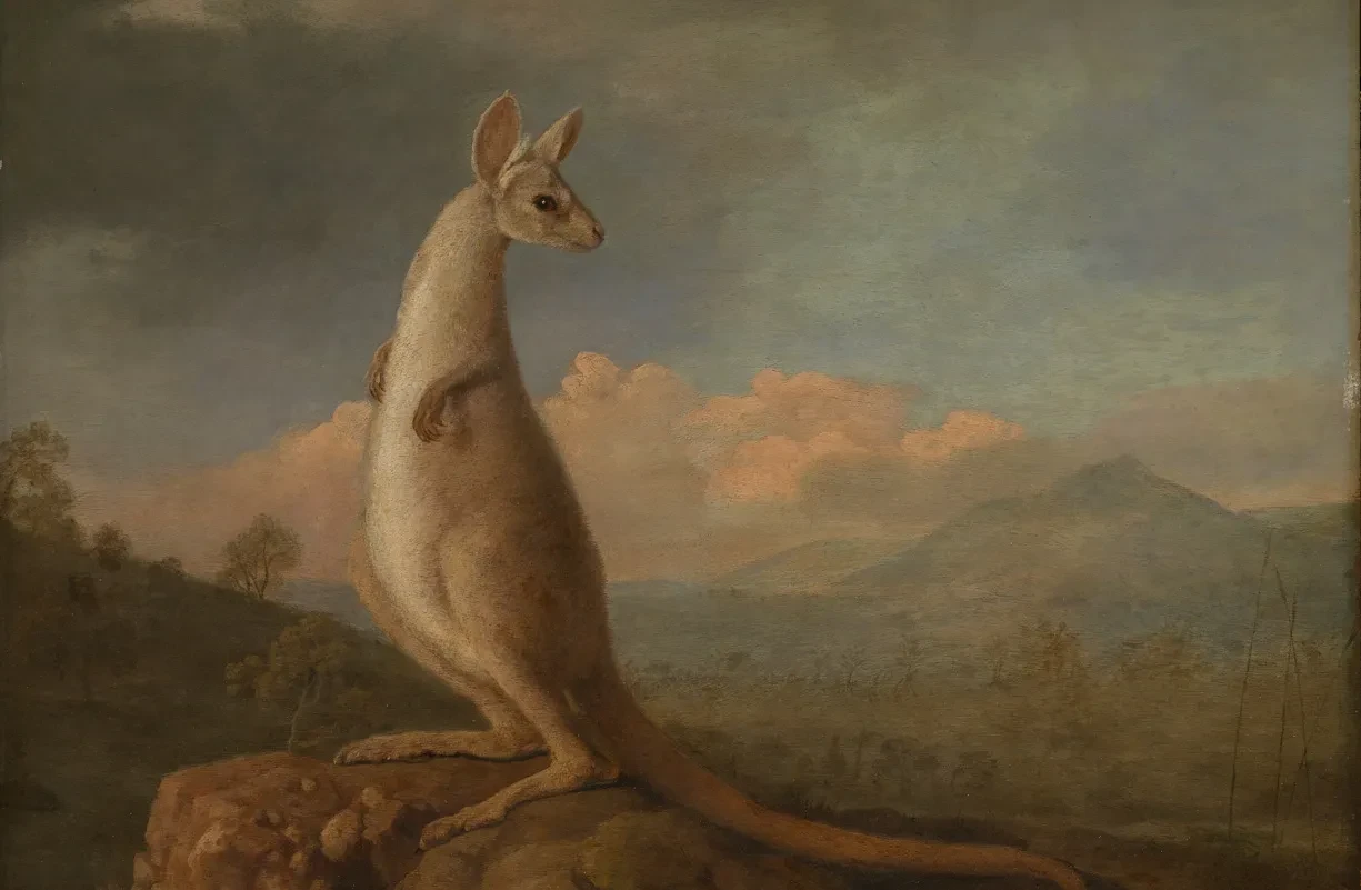 Painting of a kangaroo.