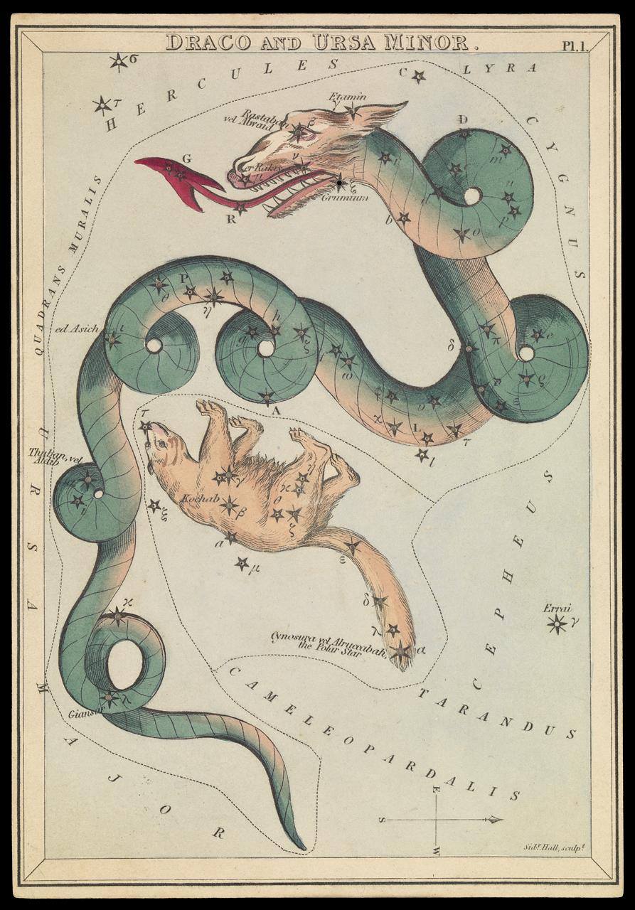 Draco constellation