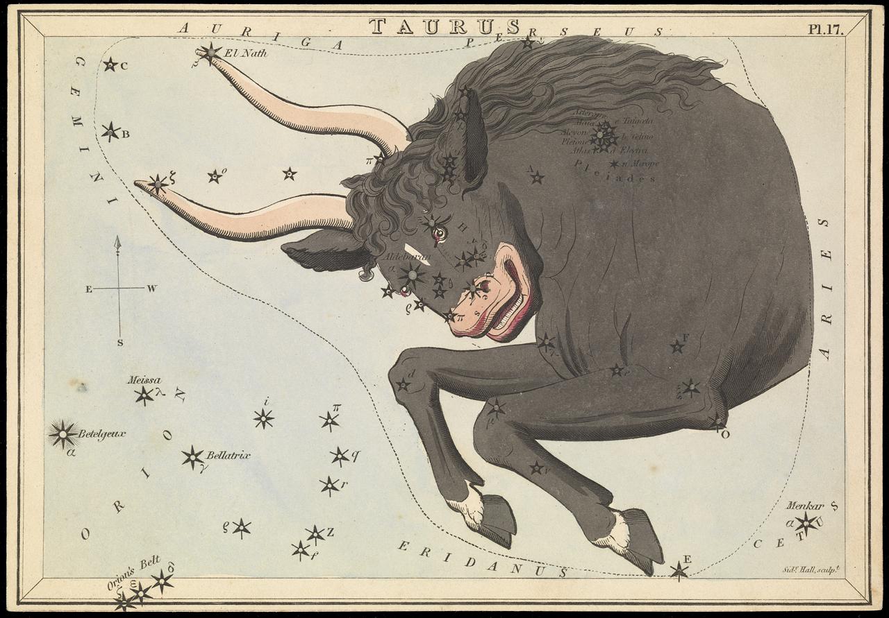 Taurid constellation map (vintage)