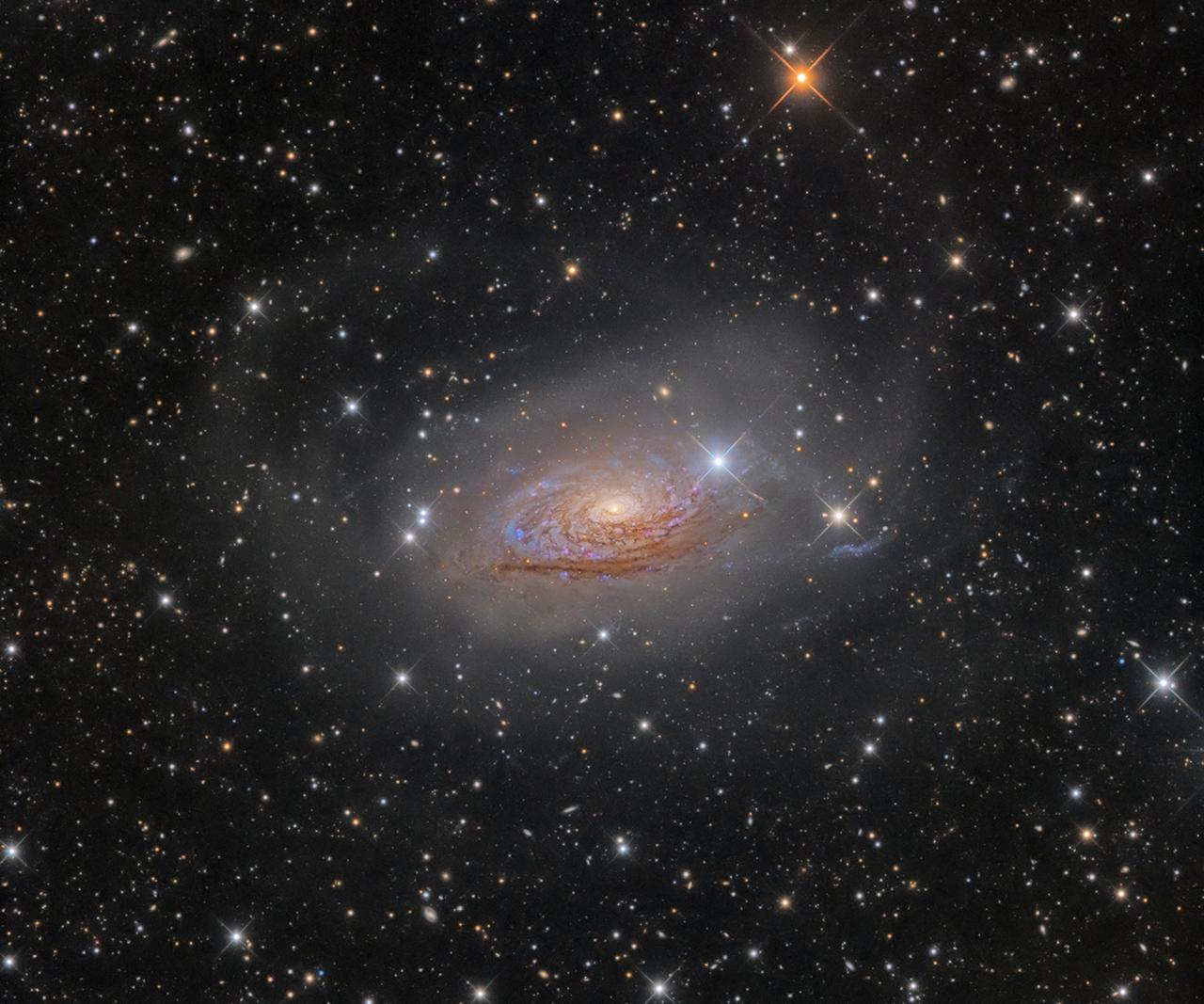 M63 Star Streams and the Sunflower Galaxy © Oleg Bryzgalov