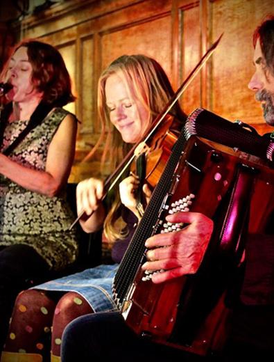 The Playford Liberation Front playing at Cecil Sharp House