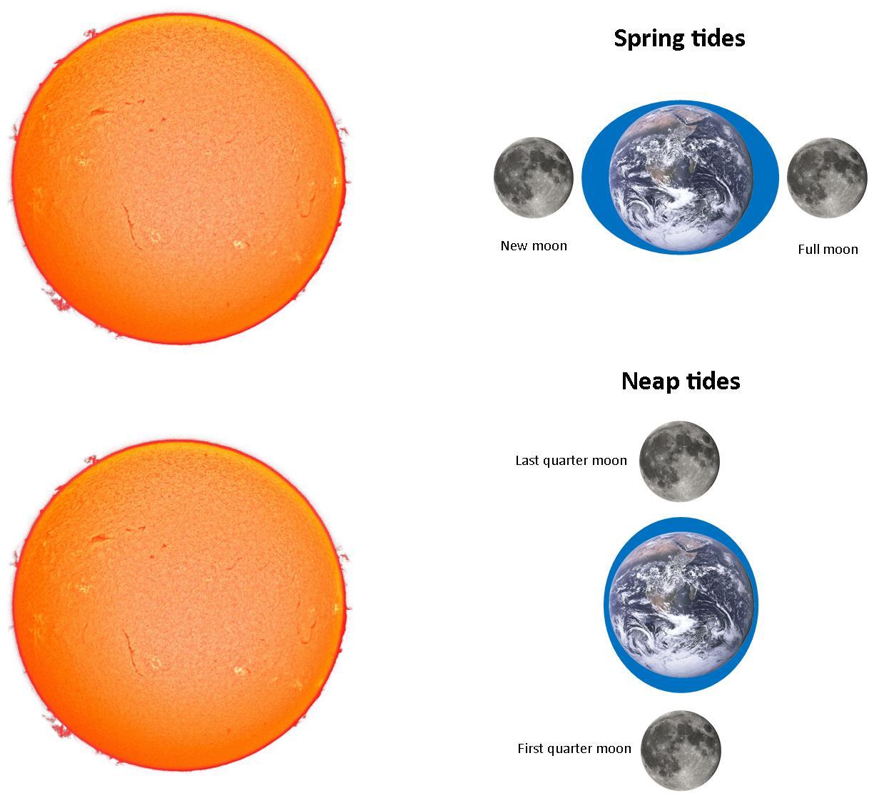 Tides diagram