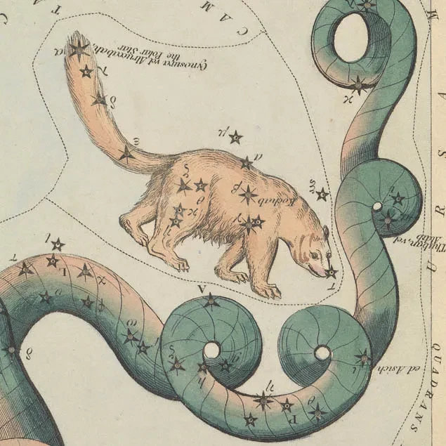 Illustration of the Ursa Minor and Draco constellations.