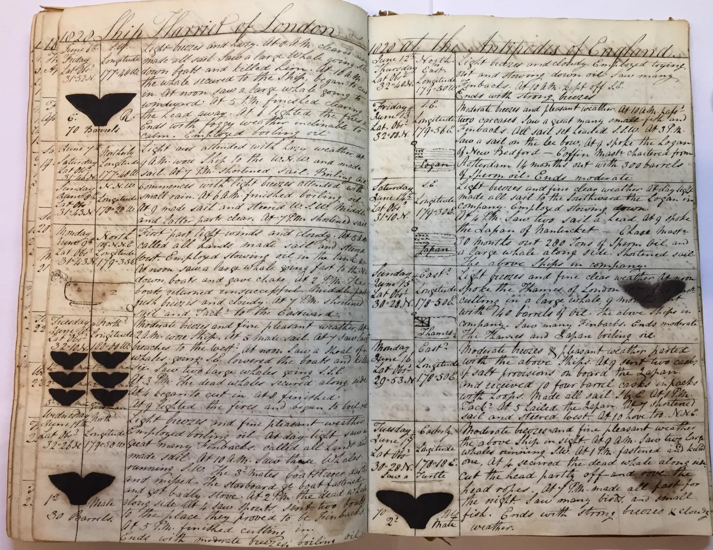 Whaling logbook from the Harriet, 1826 by William Dalton