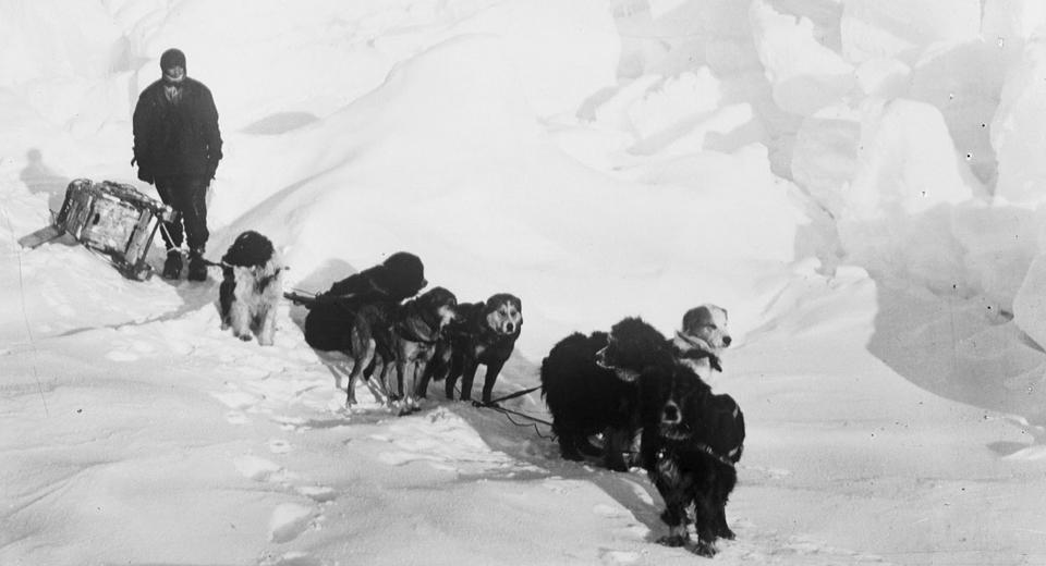 Dogs hauling a slay, from the National Maritime Museum