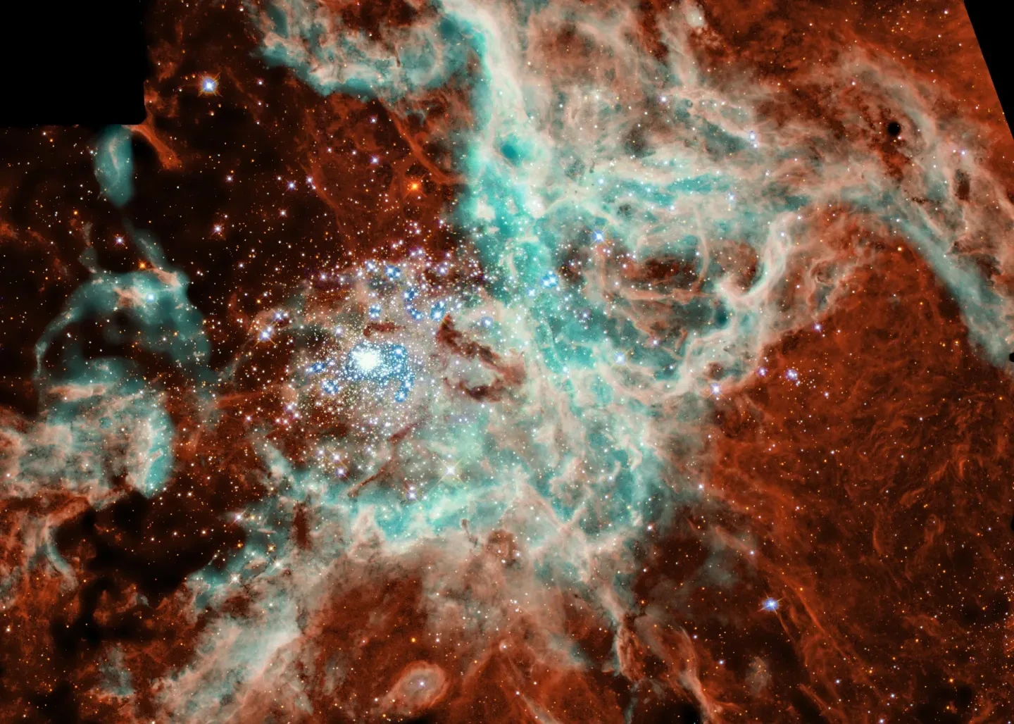 Hubble: Embryonic Stars Emerge from Interstellar 'Eggs'