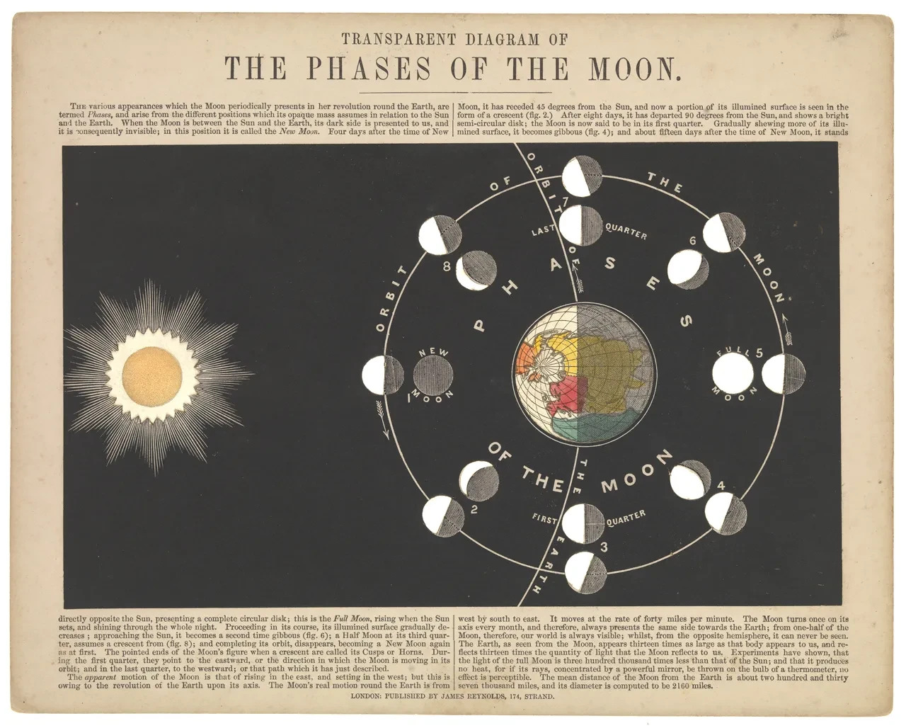 Diagram of the phases of the Moon (AST0051.2)