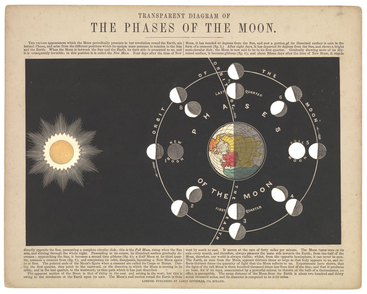 Diagram of the phases of the Moon (AST0051.2)