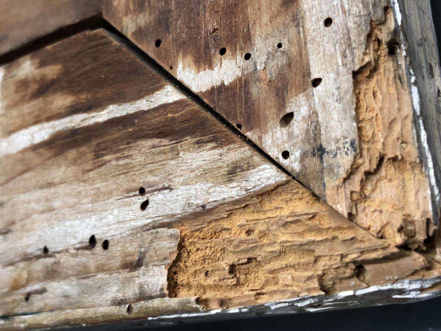 Frame BHC1813_furniture beetle damage_7.jpg