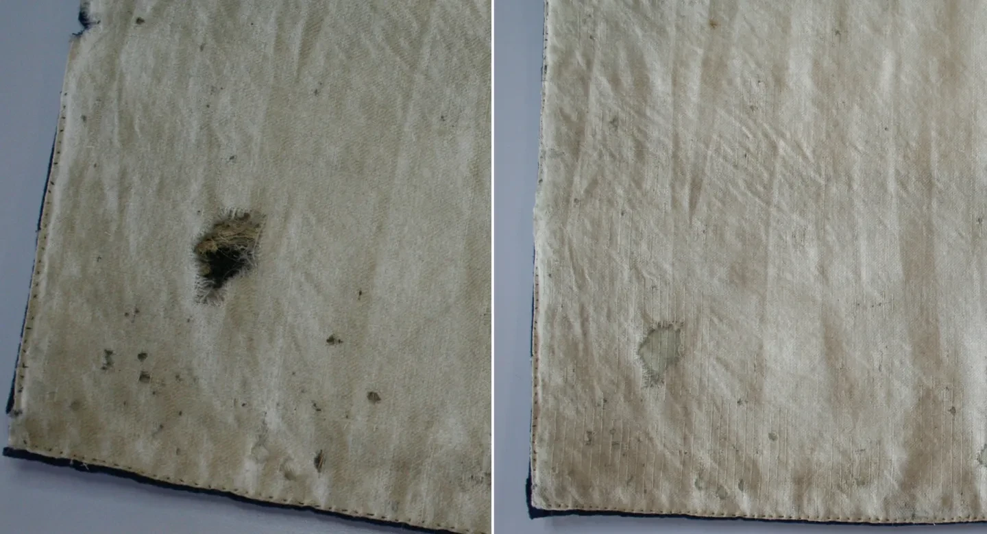 conservation before and after.jpg