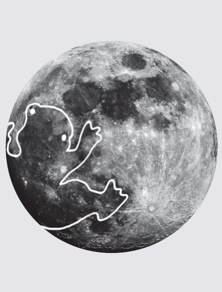 Moon Toad - lunar shapes illustration