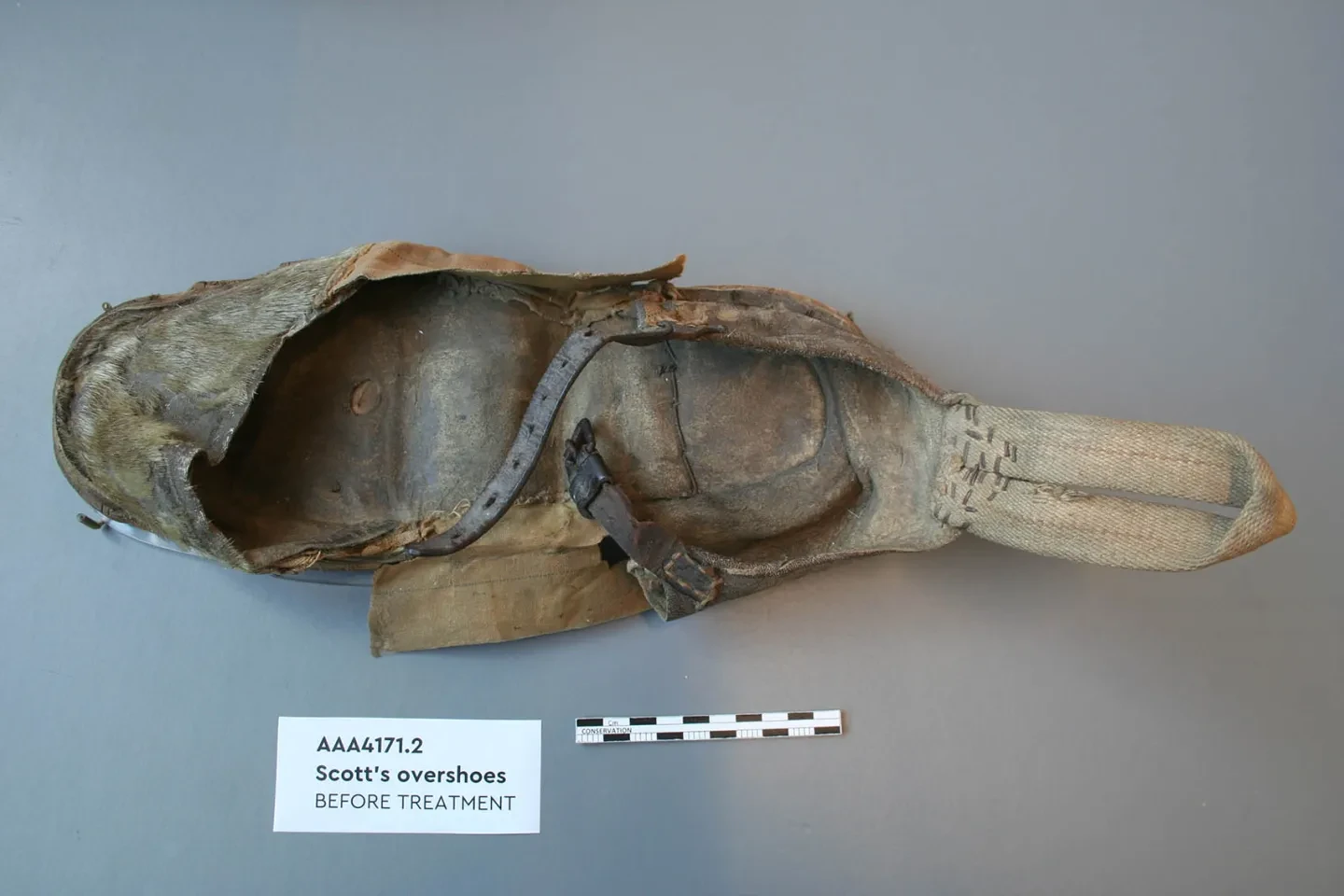 Top view of the right overshoe showing its construction